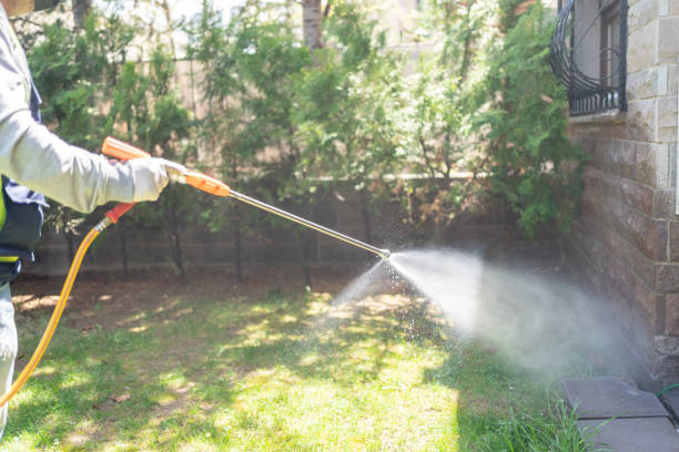 Best Lawn Pest Control  in West Sacramento, CA